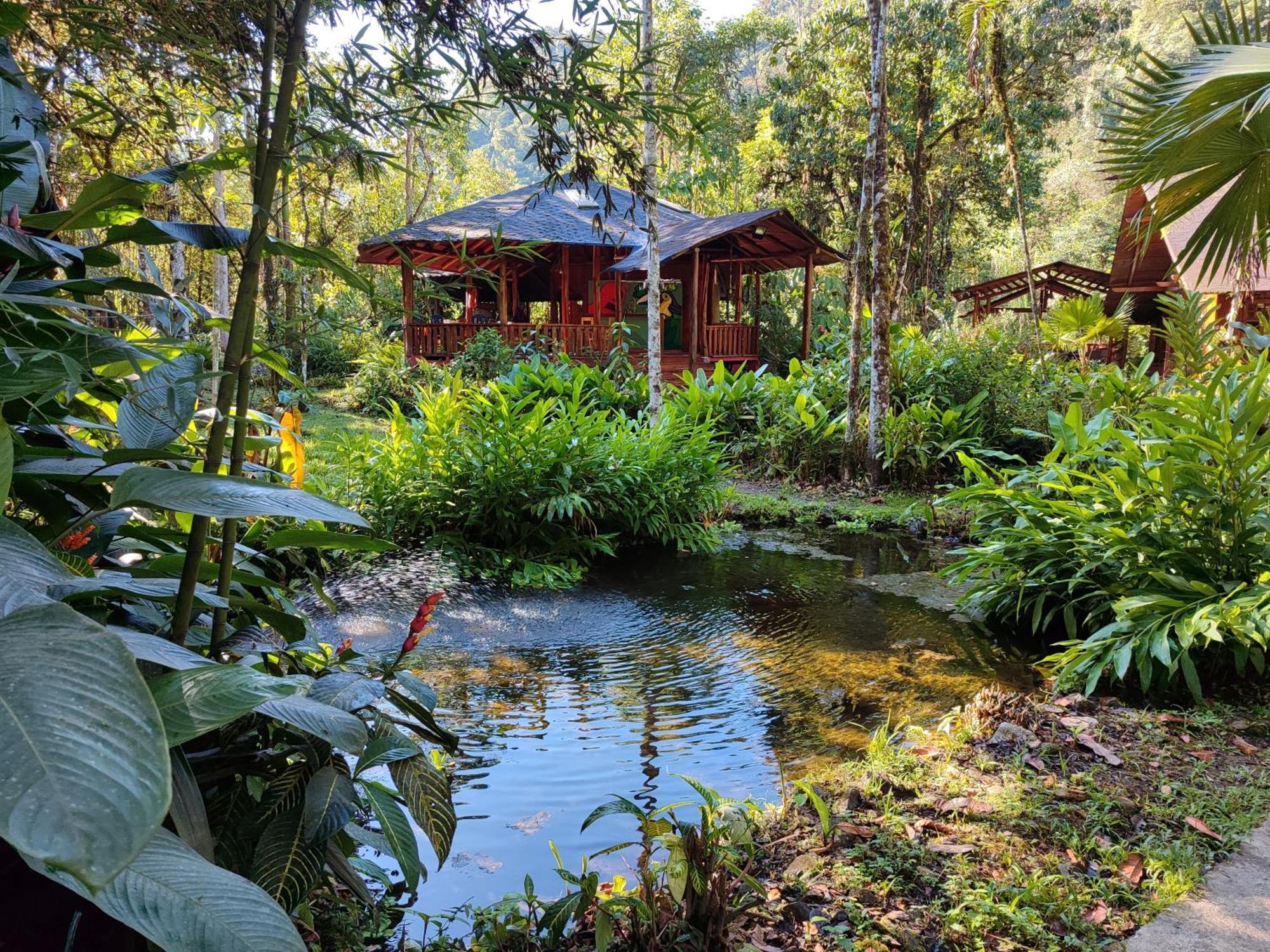 Mindo Garden Lodge And Wildlife Reserve Exterior photo